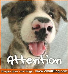 attention!!!!!!!!!!!!!!!!!!!!!!!!!!!!!!!!!!!!!!